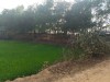 জমি বিক্রয়